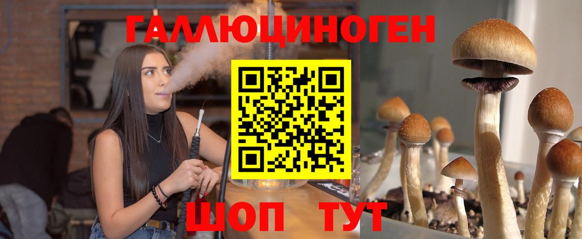 как найти   Вход с VPN  Россошь  Псилоцибиновые грибы мицелий 